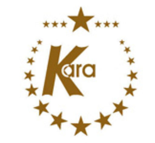 newsletter.renault-kara-automobile.de